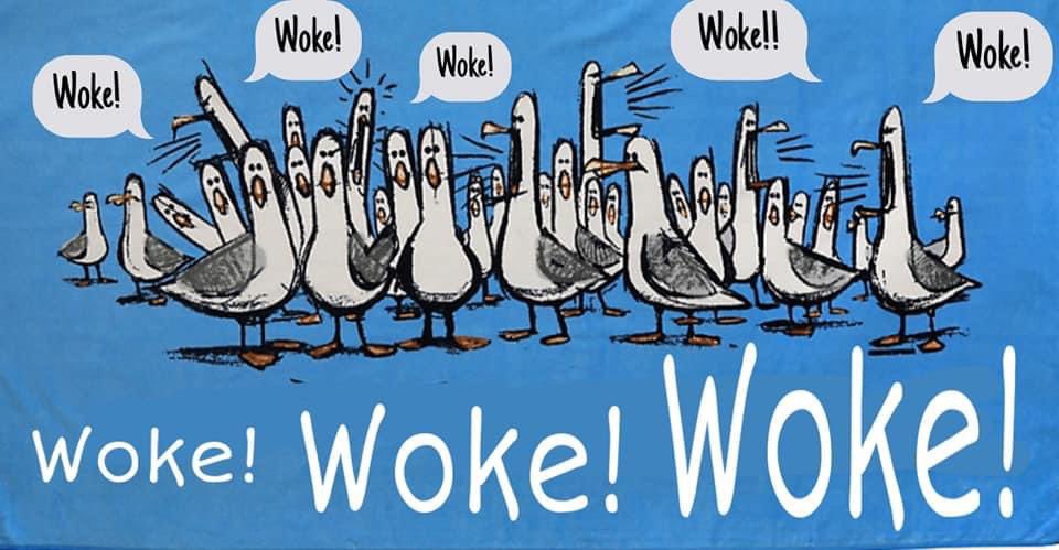 Palm 🌴 tweet media