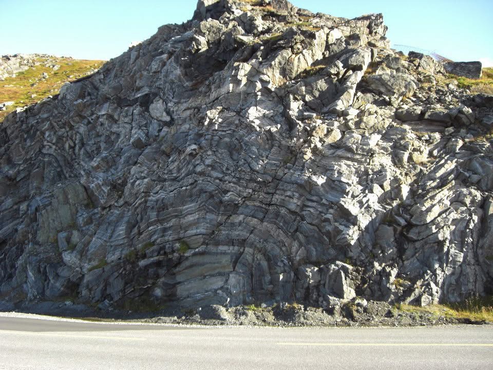 Alison Pailing tweet media