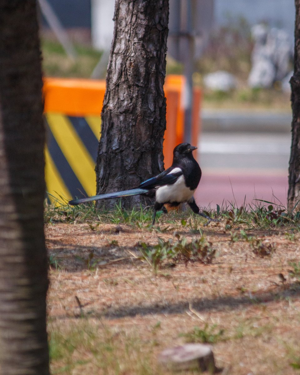 👁‍🗨ANU tweet media