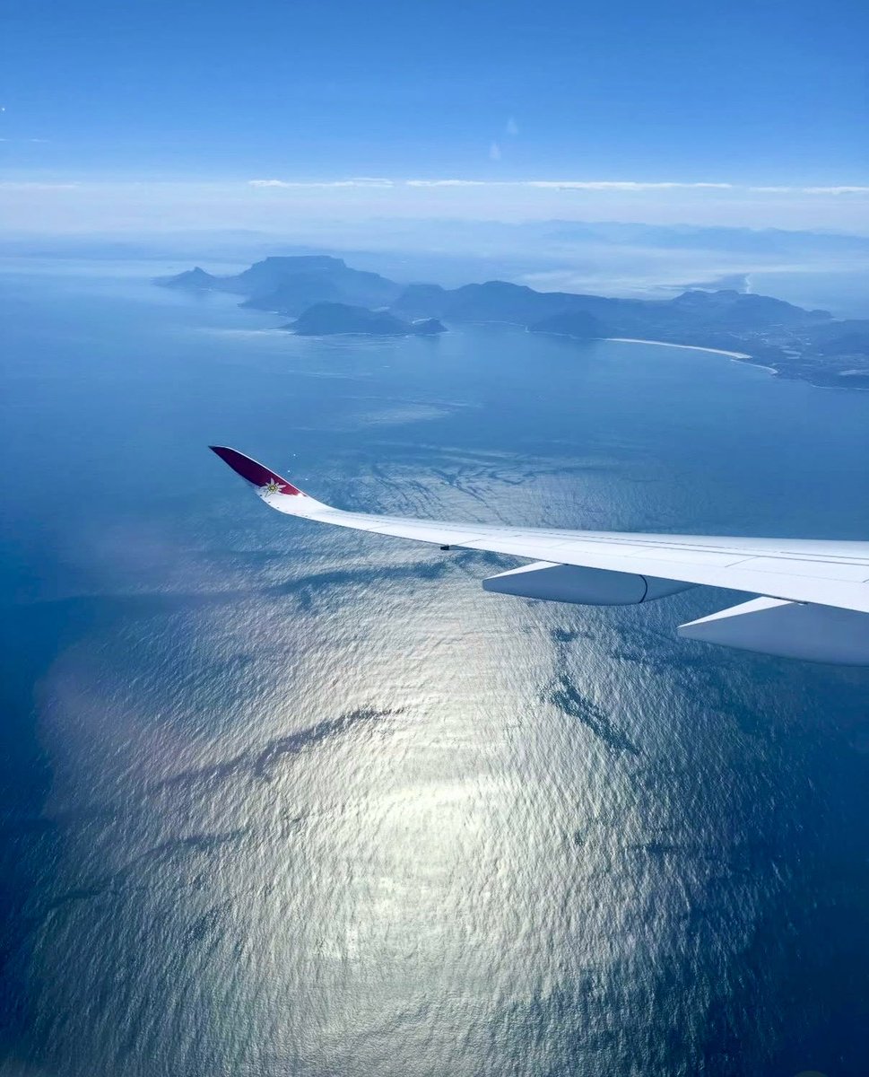 White Lion II (NDDN) Wittoslav Lionovski tweet media