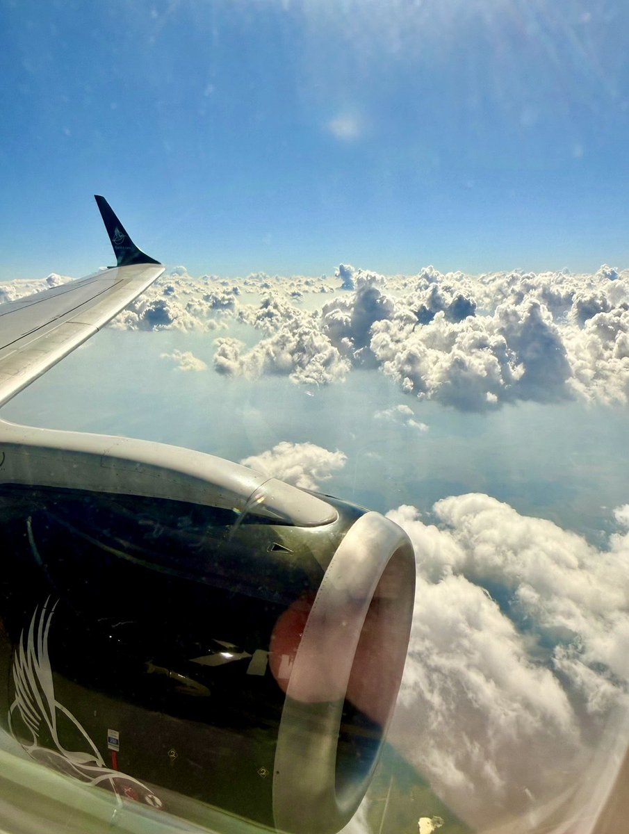 White Lion II (NDDN) Wittoslav Lionovski tweet media