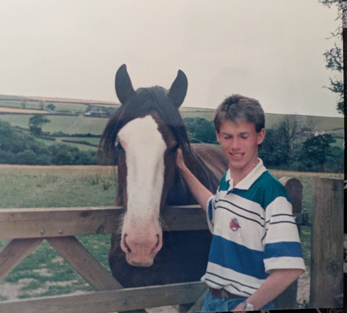 Steve Mullington tweet media