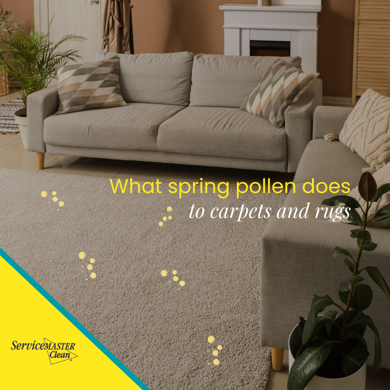 SM_CleanUK's tweet photo. Pollen season is near. Cleaning now helps reduce allergens indoors.

https://t.co/qxiKP7teqm
 #ServiceMasterClean #AllergySeason #HealthyHome #SpringCare https://t.co/K97GpEK3HI