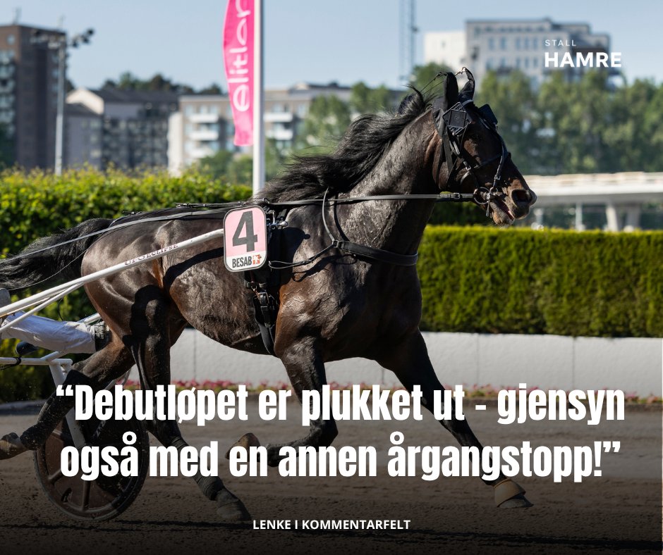 Stall Hamre tweet media