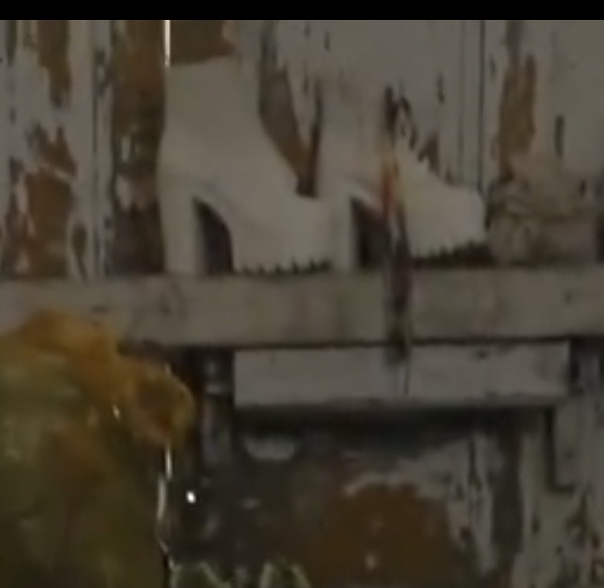 Elizabeth tweet media