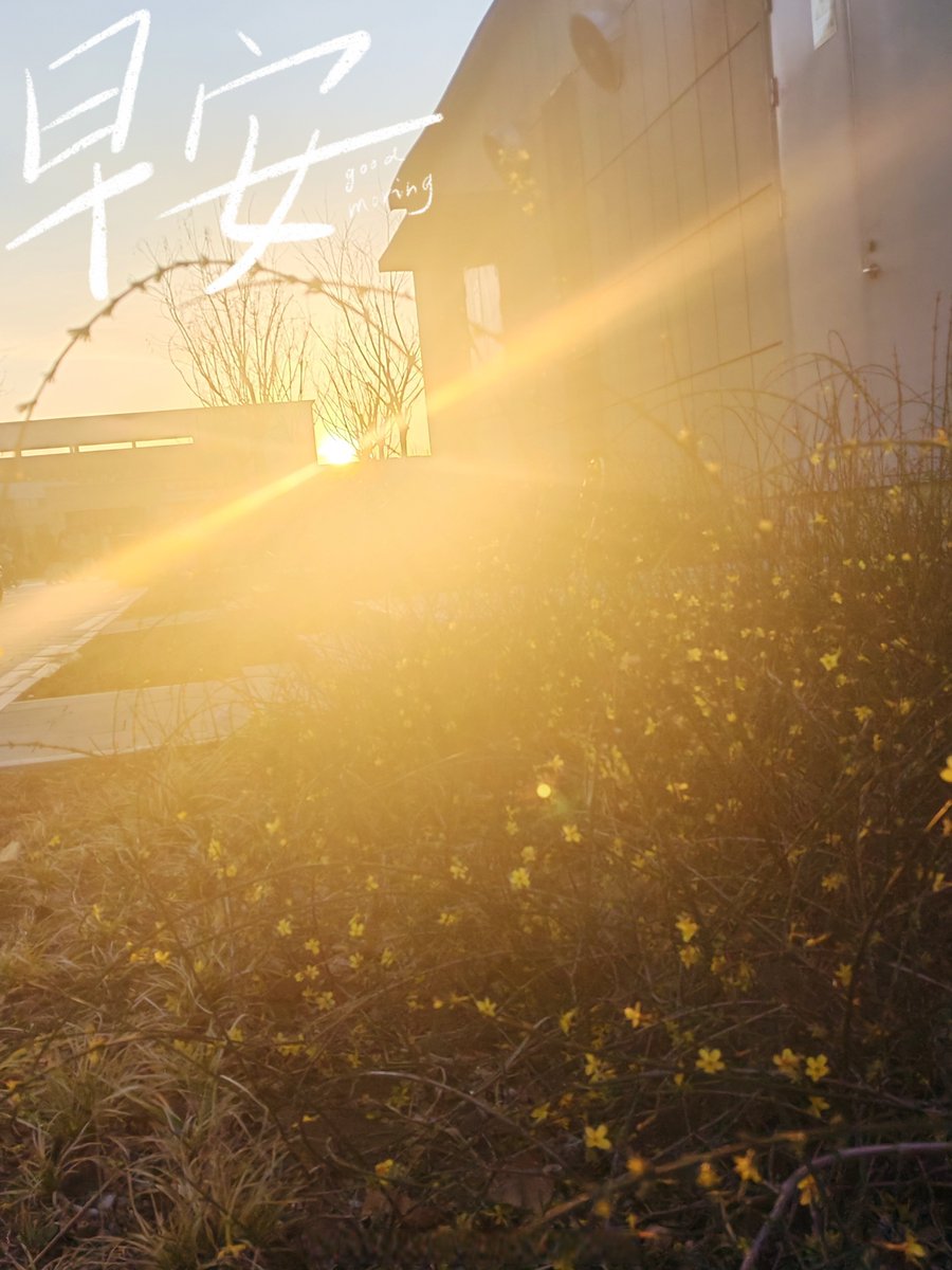 Brittany Van tweet media