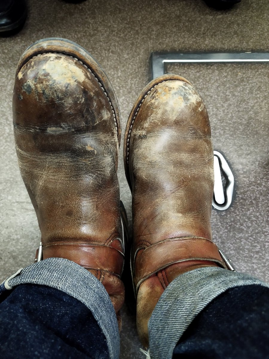 pt99-xlh1200 tweet media