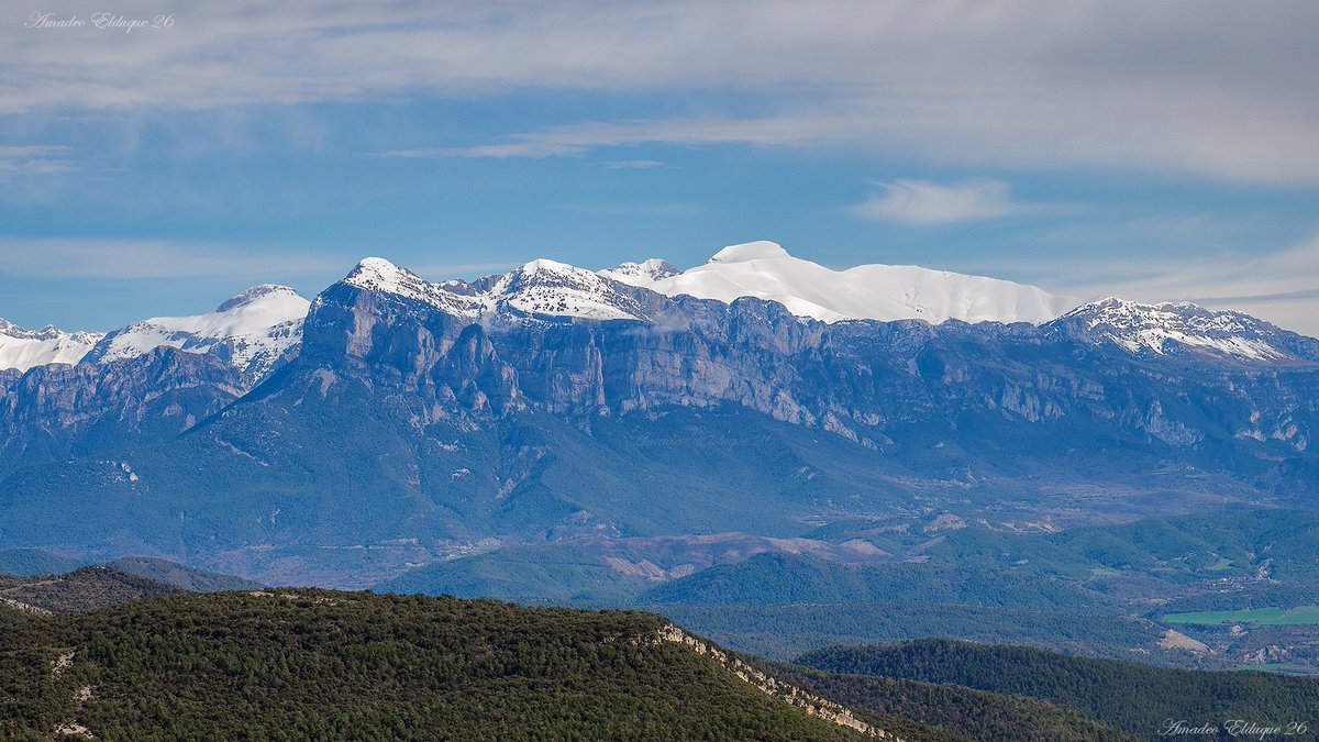 Amadeo Elduque tweet media