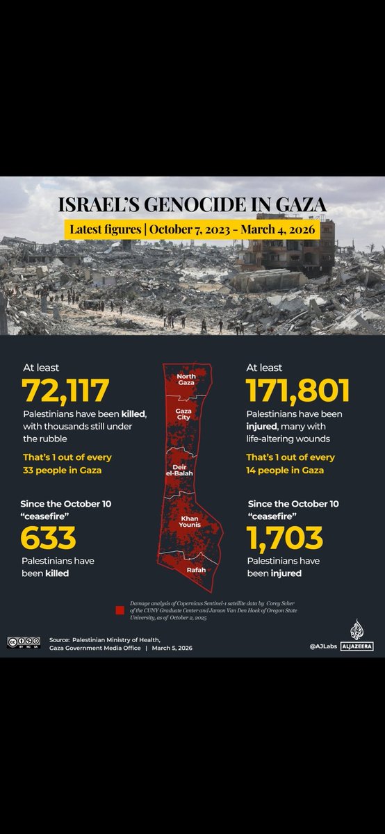 Fatma Ossedrijver-Çakir tweet media