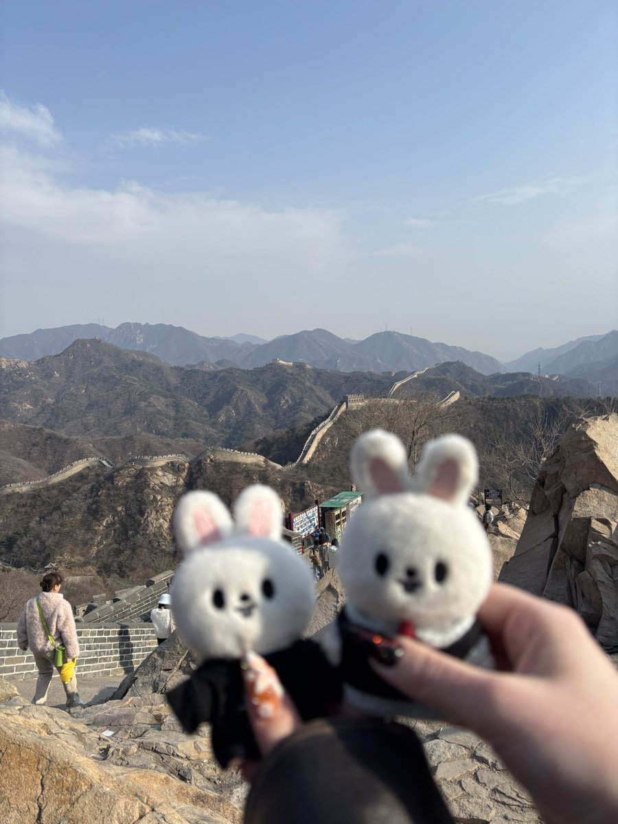 🪷 🫐 tweet media