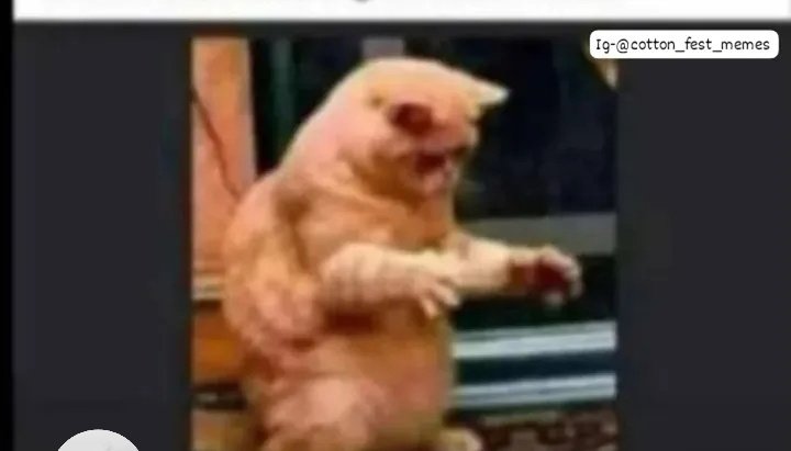 Marion_256⚘️ tweet media