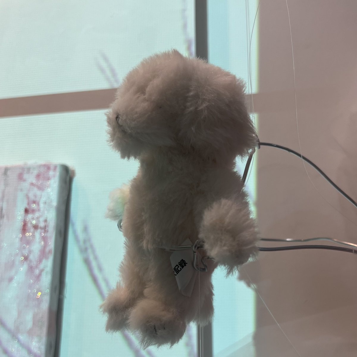 水縹 ·̫ tweet media