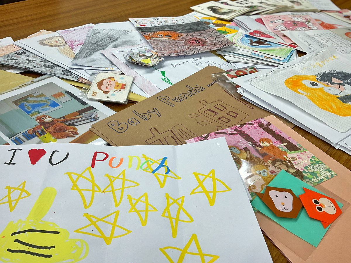 市川市動植物園（公式） tweet media