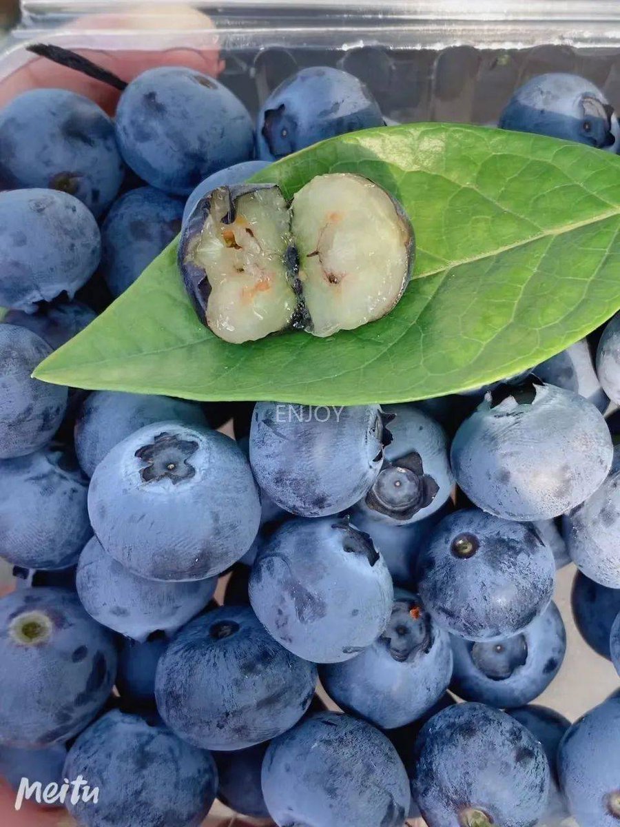 jinet mercado tweet media