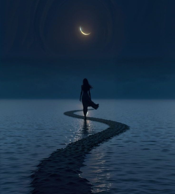 Anmol Mano tweet media