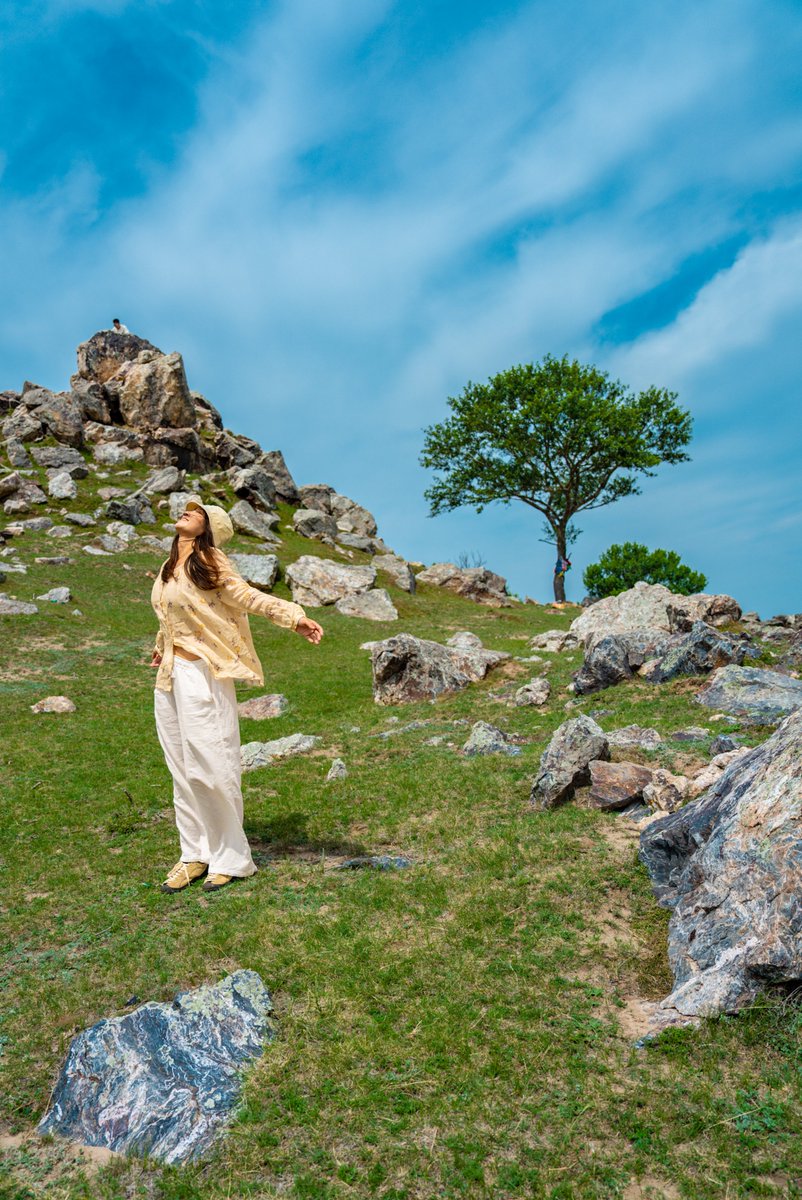 Bobos interiors tweet media