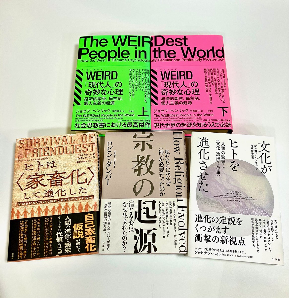 hakuyo_sha's tweet photo. 白揚社書店フェア「読むと世界の見え方が変わる本」より、小冊子掲載作を紹介します📚

人類史から、“いまの自分たち”を読み解く4冊。

ロビン・ダンバー著
『宗教の起源』
→進化心理学の巨人ダンバーが描く、人類と信仰の20万年。
“信じる心”はどこから来たのか？

ブライアン・ヘア ＆ ヴァネッサ・ウッズ 著
『ヒトは〈家畜化〉して進化した』
→仲間思いのヒトが、なぜ戦争をするのか?　
「自己家畜化仮説」で人間の二面性を読み解く

ジョセフ・ヘンリック著
『文化がヒトを進化させた』
→ヒトは“自分たちが生んだ文化”によって淘汰され、進化した。
人類誕生の物語を更新する一冊

『WEIRD「現代人」の奇妙な心理』
→文化は心も作り替え、多様にする。
現代世界を形づくった西洋的なWEIRD心理はいかに生まれたか？

小冊子はフェア実施書店で無料配布中です！