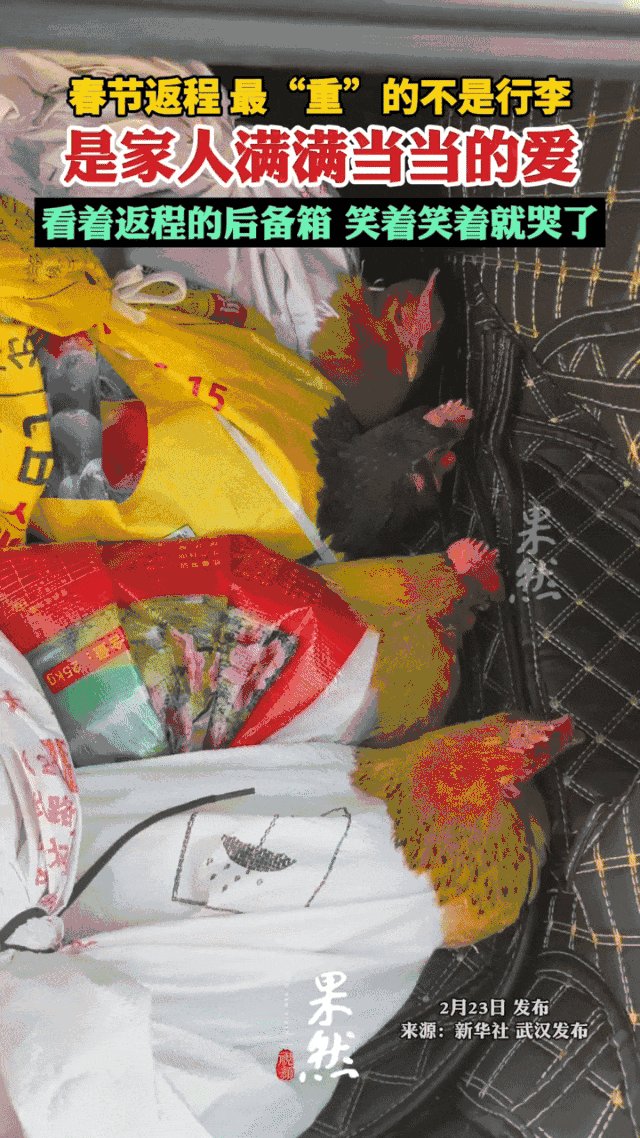 abdulkadir aslan tweet media