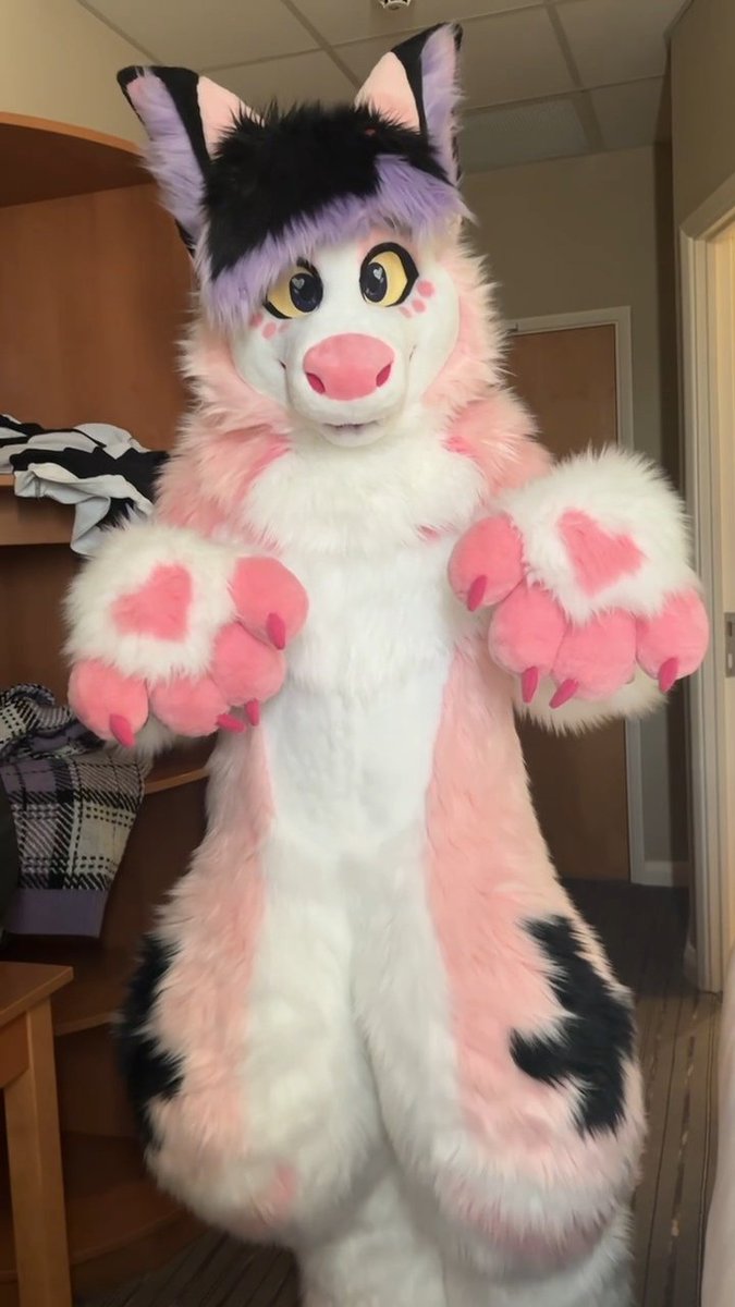 _kasuwu's tweet photo. Haiii rawr rawr rawr https://t.co/Am8nRZsOH2