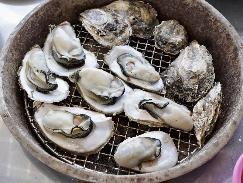 羽琉 /偽娘 tweet media