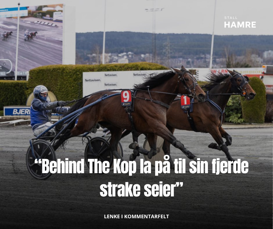 Stall Hamre tweet media