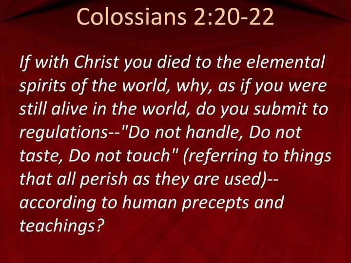 LyraKeltica tweet media