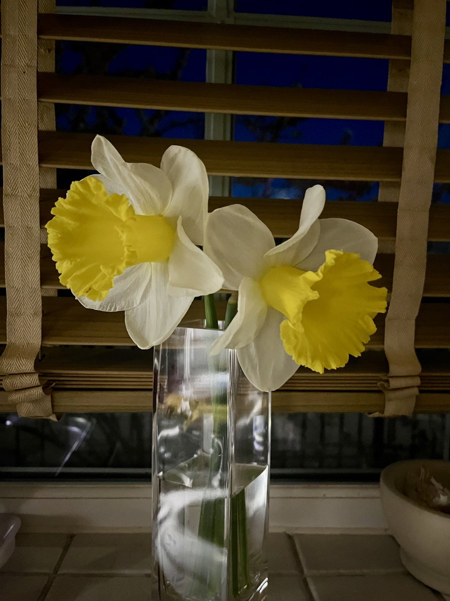 LADY ROCHESTER The Mistress (Dominatrix in Kent) tweet media