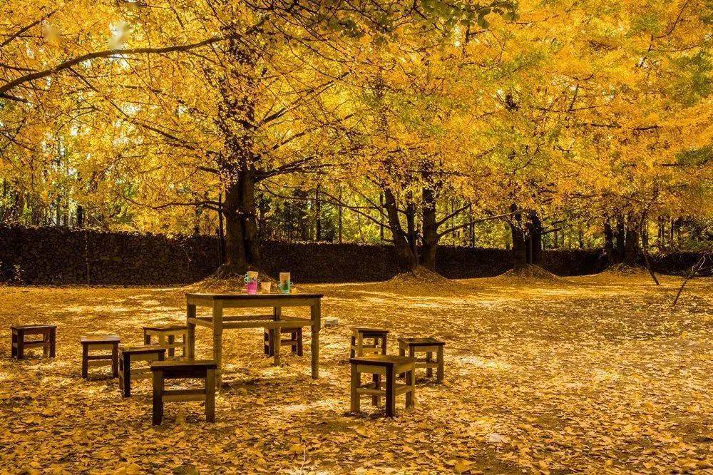 Anil choudhary tweet media