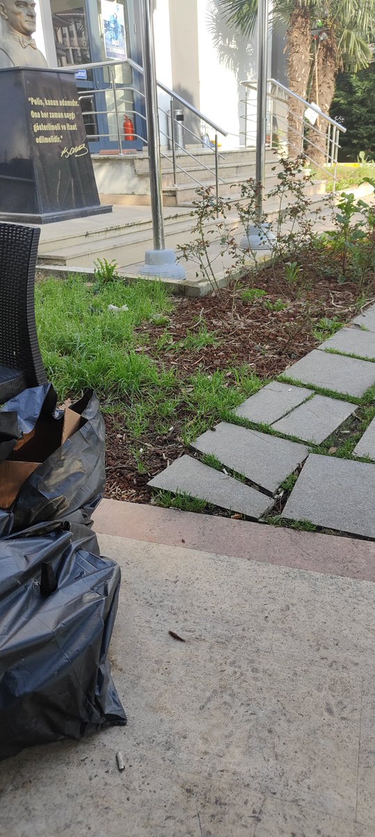 Uğur Güzel tweet media