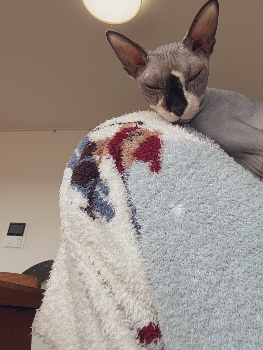 つばさ舞❤️🔥 tweet media