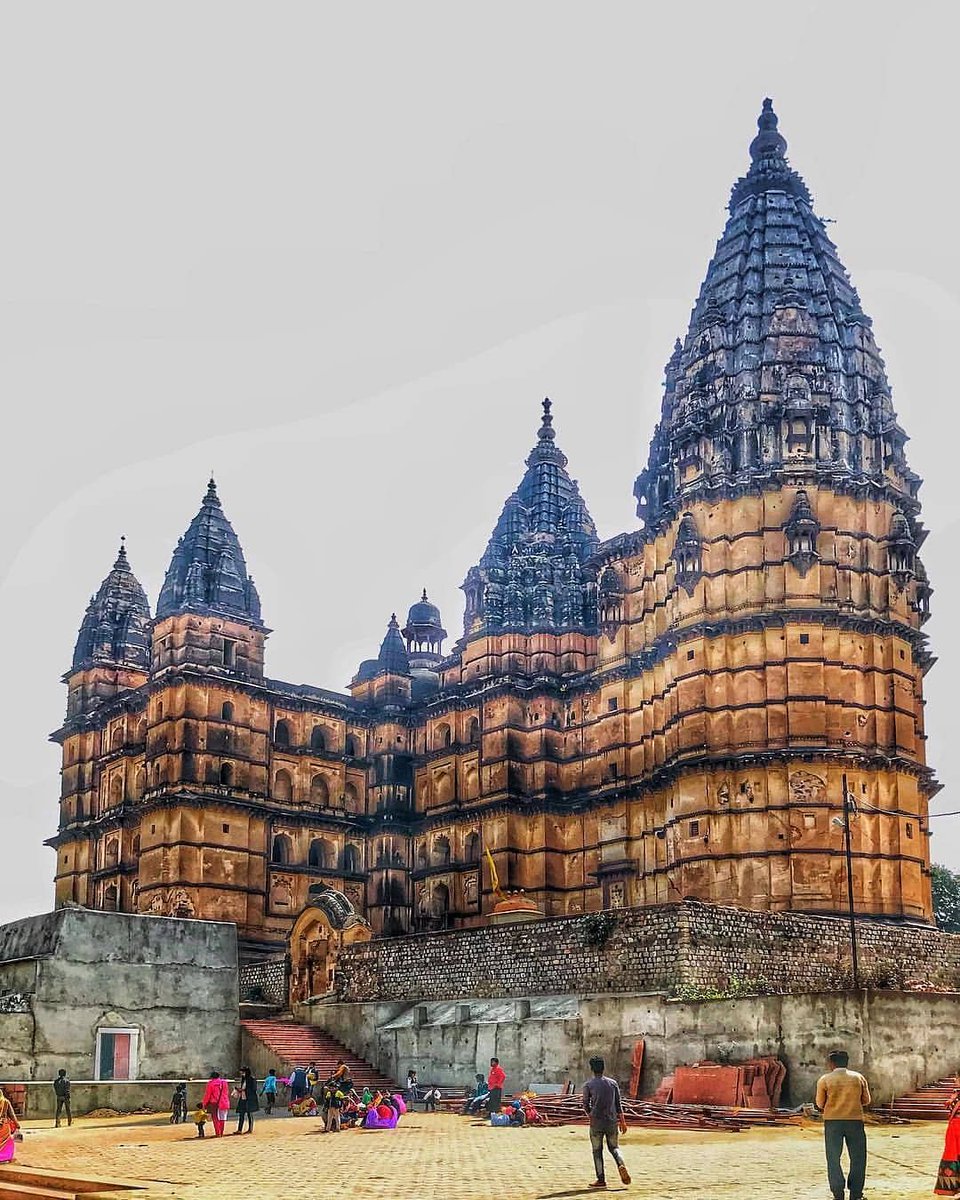 Local Samosa tweet media