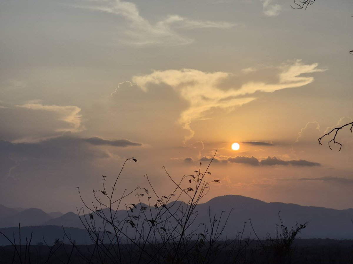 Donovan Ch. 💸👓 | VtuberTH | อยู่กรม 💂‍♂️ tweet media