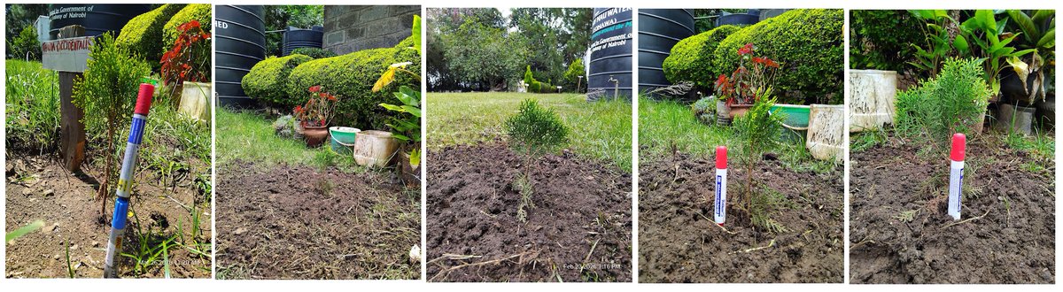 Friends of Mau Watershed (FOMAWA) tweet media