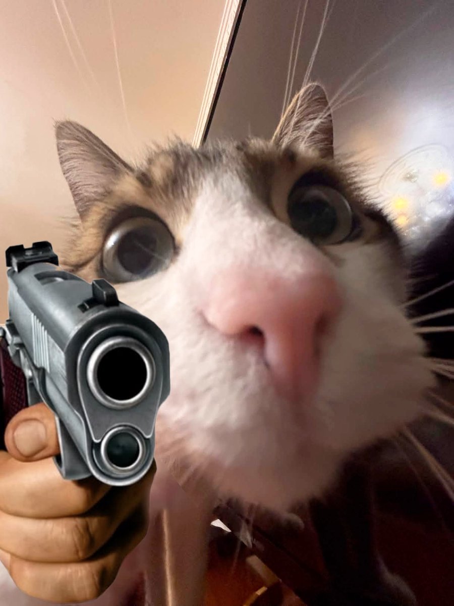 mitos officiel 🇵🇸 tweet media