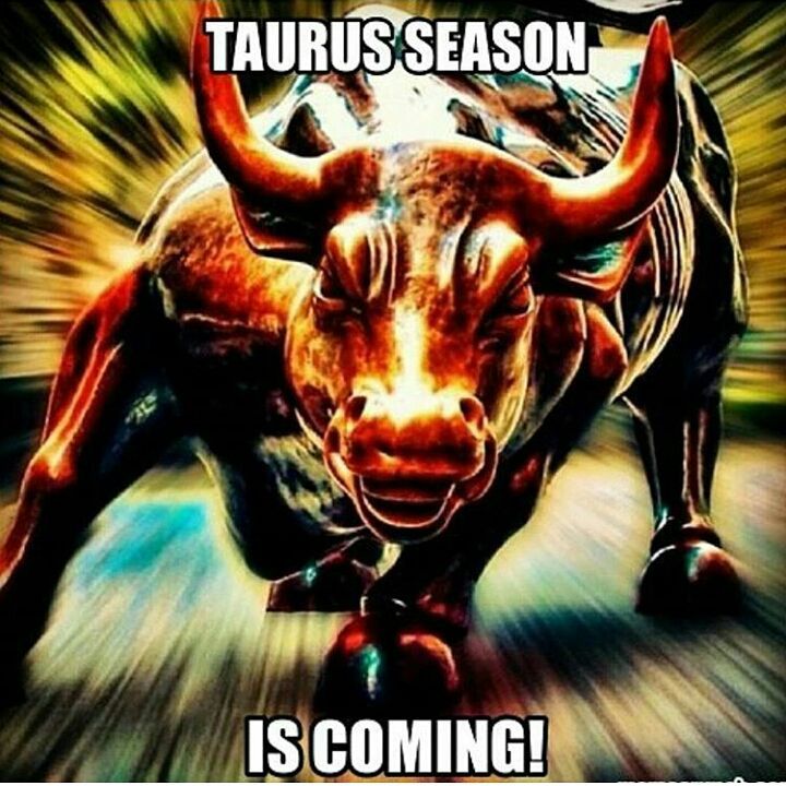 TaurusWorld_'s tweet photo. taurus be like: https://t.co/RJIYV8R6tU