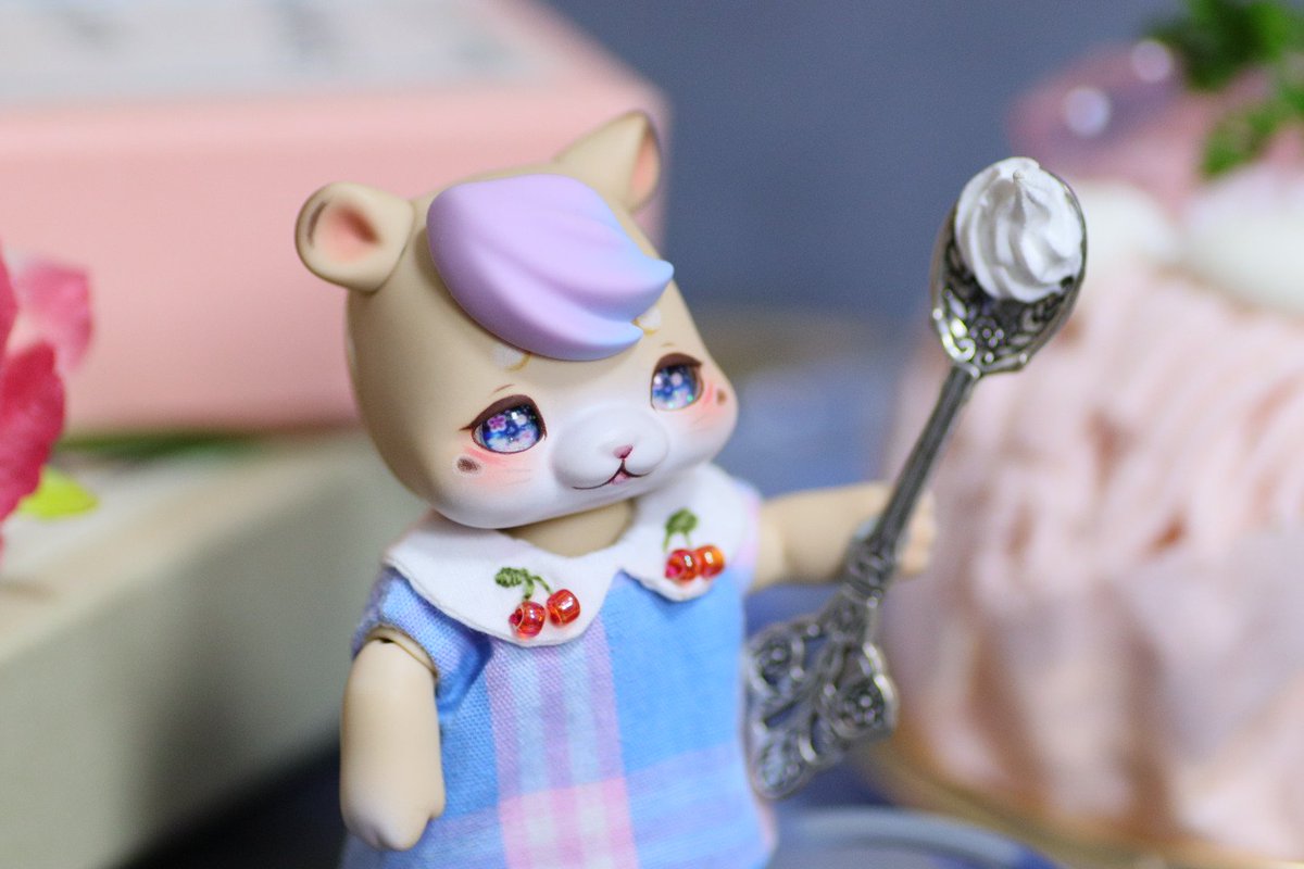 まち Su'Zoo🌗ミニチュアモールベア🧸 tweet media