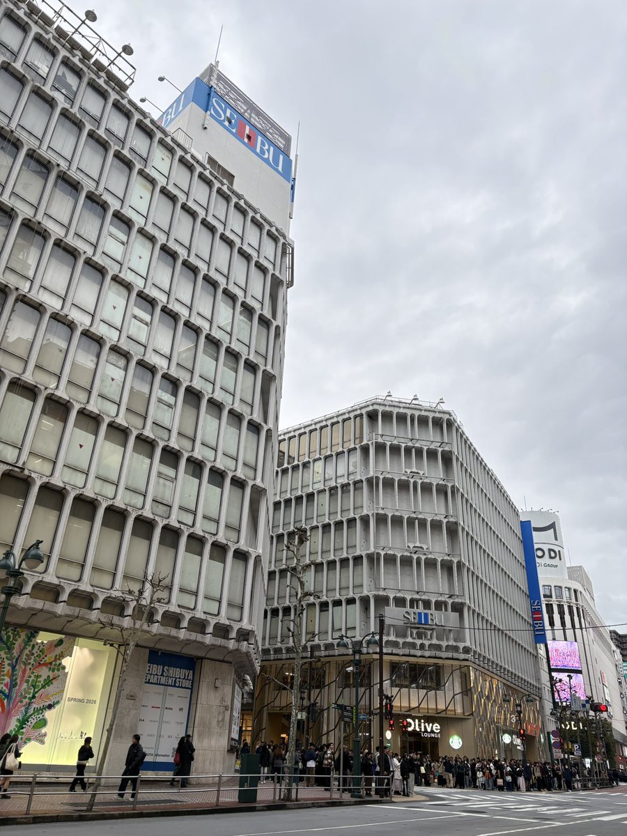 ばびる tweet media