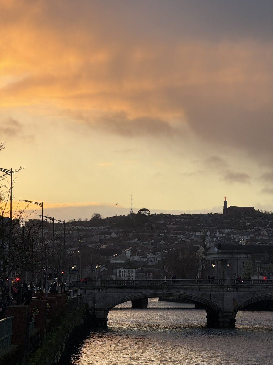 бо я дослідниця 🐆 tweet media