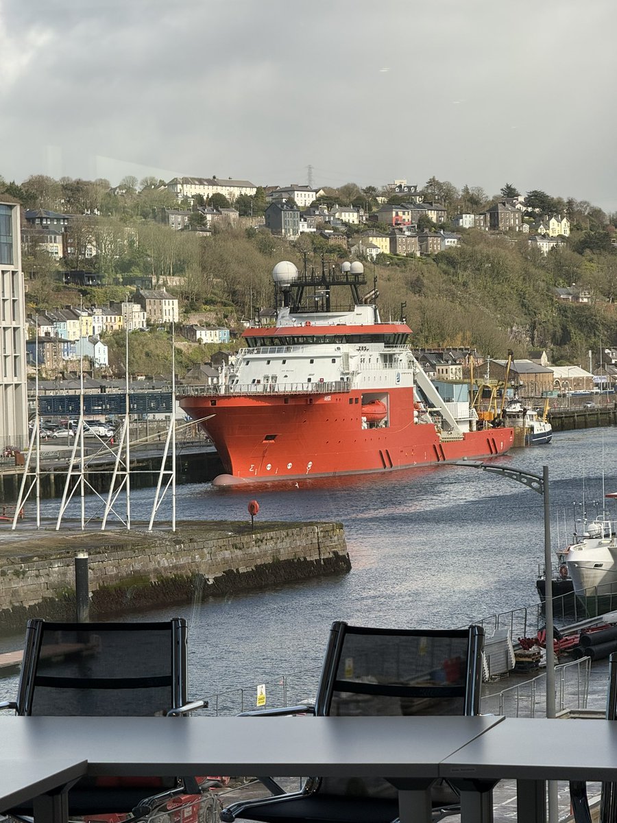 бо я дослідниця 🐆 tweet media