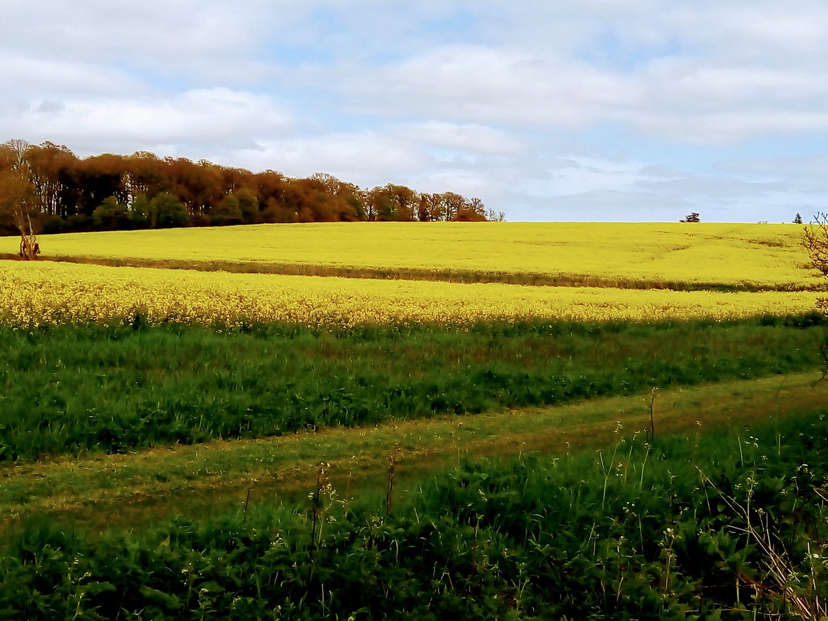 Sandy Tregent tweet media