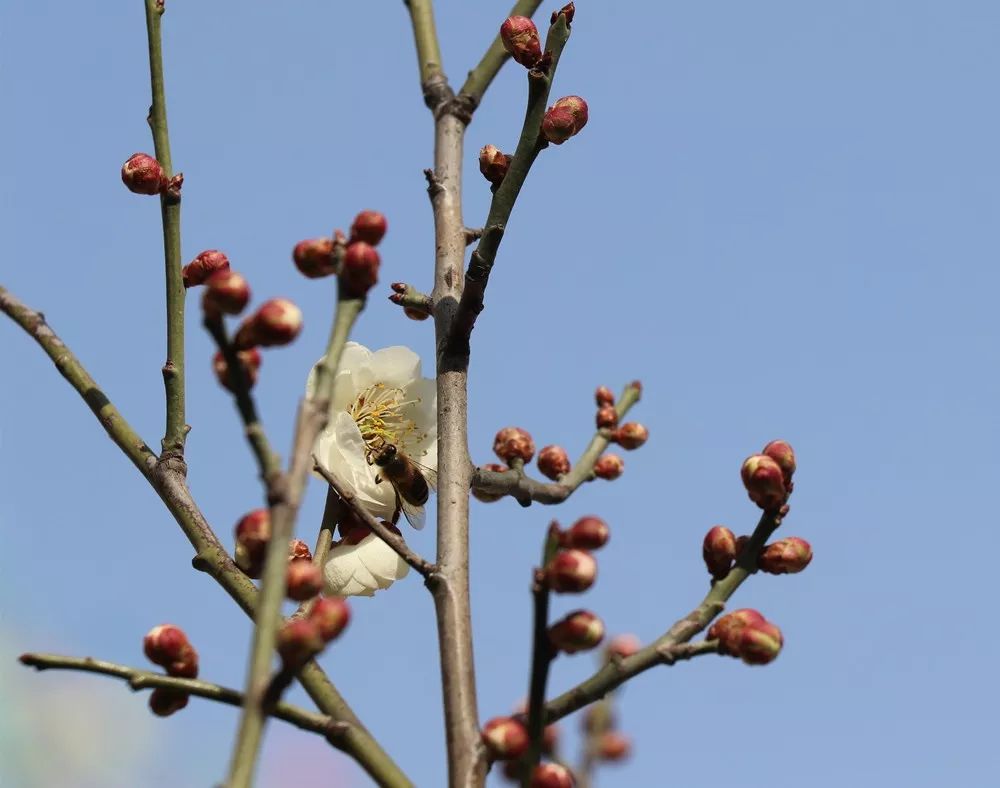 Gavin Wu tweet media