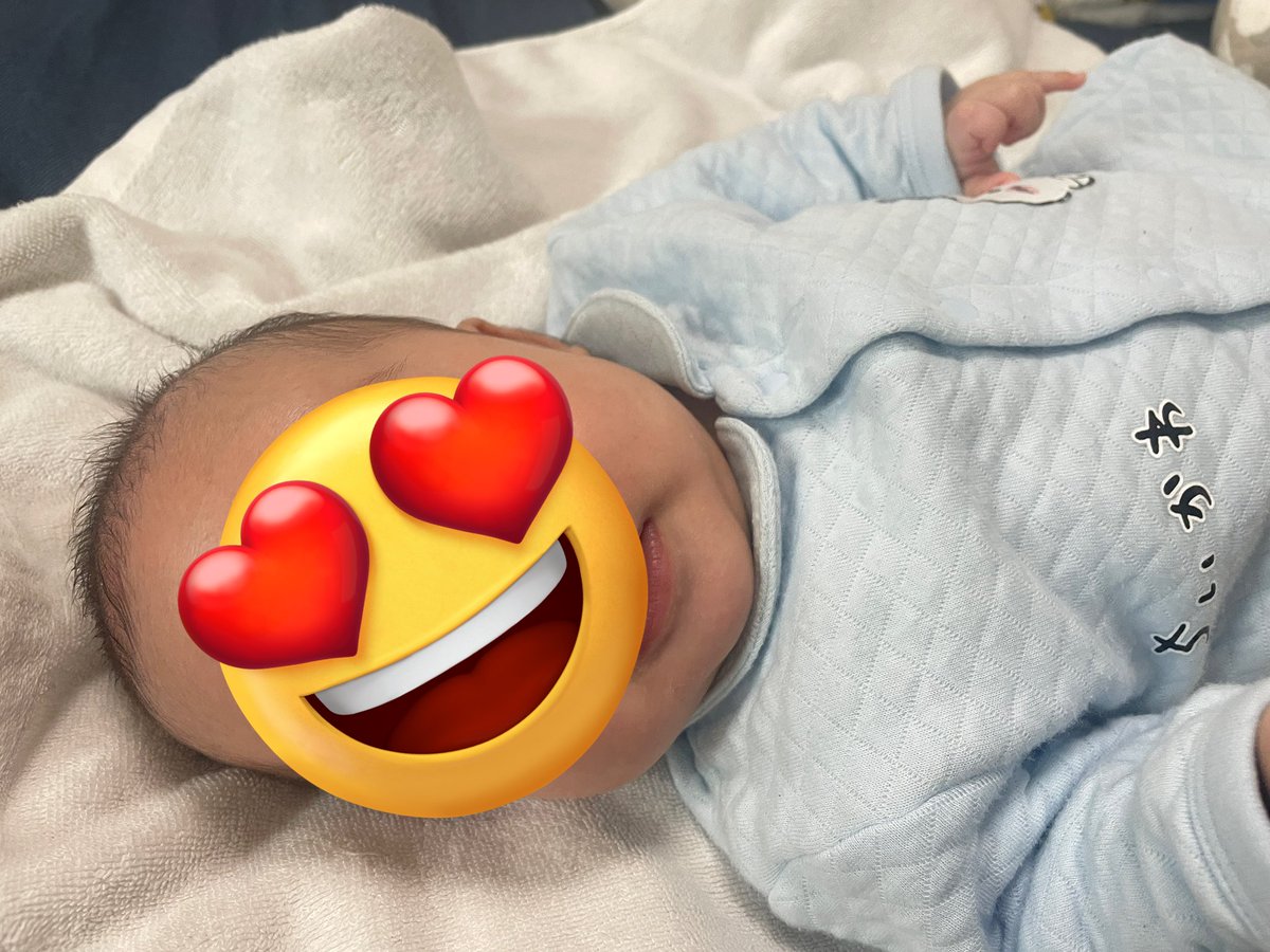 みーこ🌱 tweet media