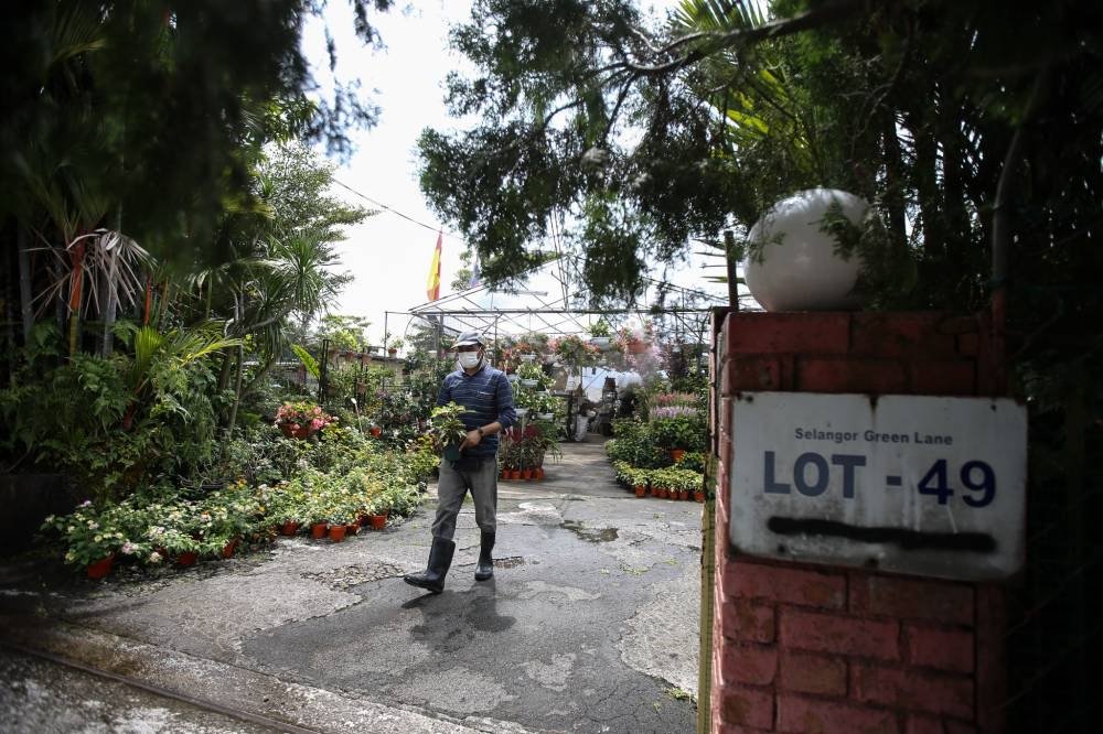 Gandipan, Parti Sosialis 🌺 tweet media