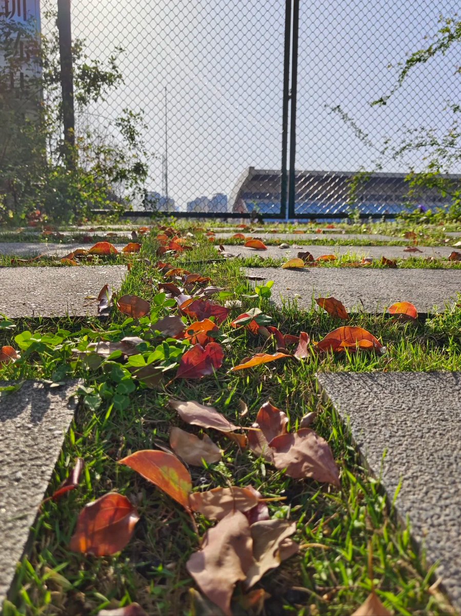 Kadisha Herrera tweet media