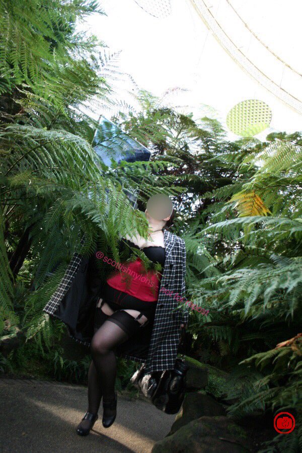 scottishstockings tweet media