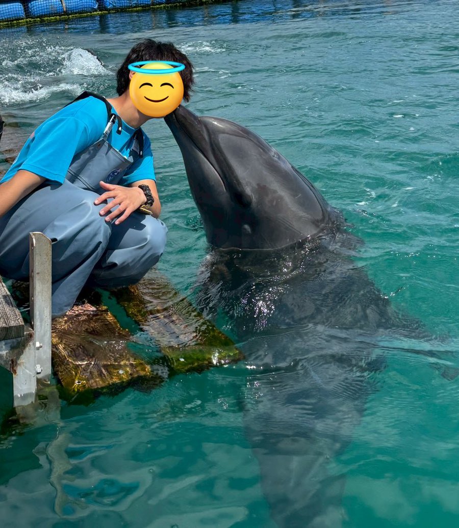 うなぎまる tweet media