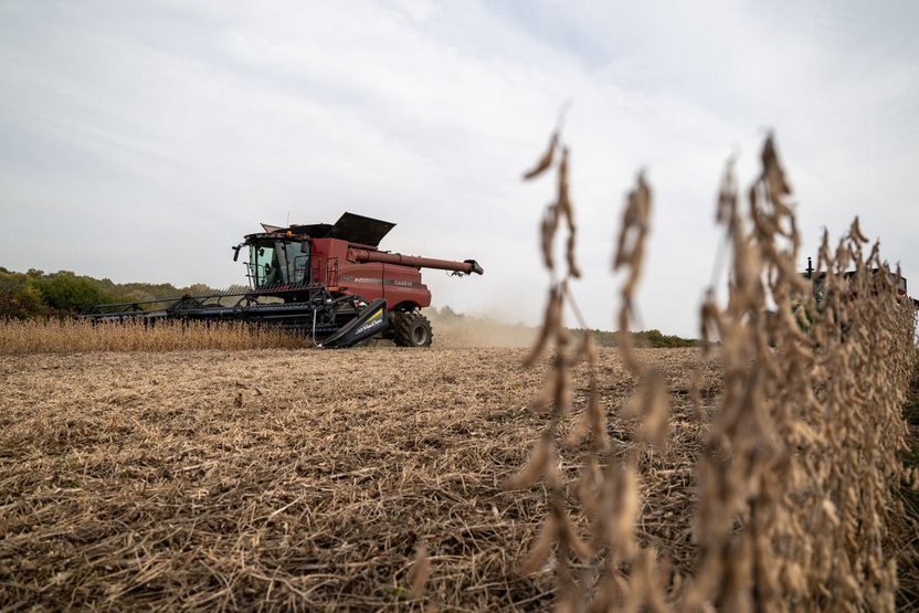 Tiredearth's tweet image. War on Iran triggers fertilizer shock and raises global hunger fears

#TiredEarth #fertilizer
🔗tiredearth.com/articles/war-o…