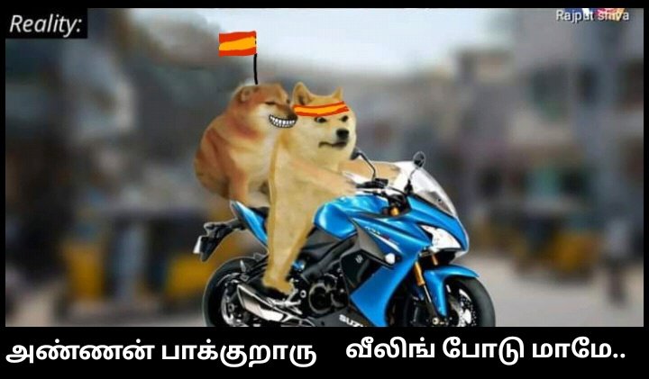 கோணவாயன் 🤪 tweet media