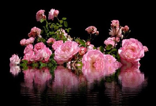 نـــــnorــــــور👌 tweet media