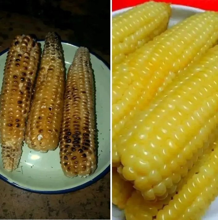 UNDER THE BROOM TREE tweet media